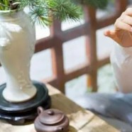 平水珠茶主要成分