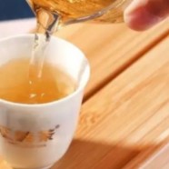 南安石亭绿属于什么茶