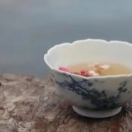 安吉白片采摘标准