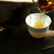 清溪玉芽鲜叶采摘时间和标准