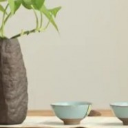 麻姑茶怎样泡才能达到最佳效果