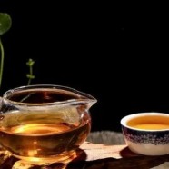 车云山毛尖是什么茶