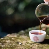 武阳春雨属于什么档次