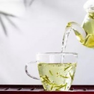 竹叶青茶叶的功效