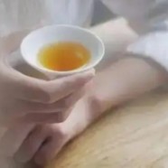 西山茶品种