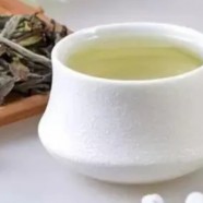 武阳春雨是什么茶