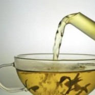 青城茶多少钱一斤