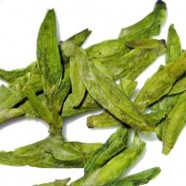 乌牛早茶