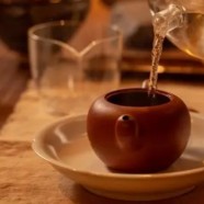 文君茶是什么档次