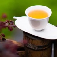 汀溪兰香茶叶是什么茶