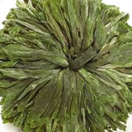 黄山绿牡丹