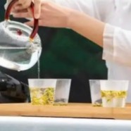 狮峰龙井是红茶还是绿茶