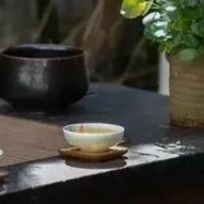 文君绿茶品质特征