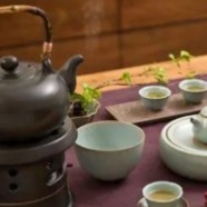安化松针茶的功效与作用