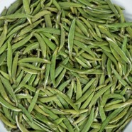 湄潭翠芽