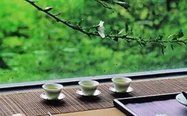 雁荡毛峰属于什么茶