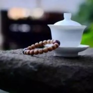 湄潭翠芽是什么茶种