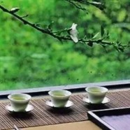雁荡毛峰属于什么茶