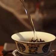 婺源茗眉用什么投法