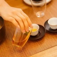 宁强雀舌茶产地是什么地方