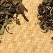 贡眉与寿眉有什么区别呢