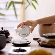 秦巴雾毫多少钱一斤