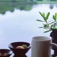 宁强雀舌与汉中仙毫区别