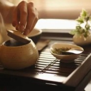 天目湖白茶保质期多久