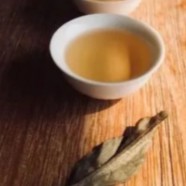泉岗辉白属于什么茶