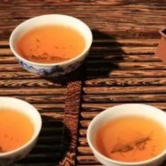 宁强雀舌茶的制作过程