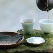 双龙银针茶的储藏方法