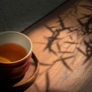 英山云雾茶是绿茶吗
