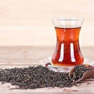 天目湖白茶的正确冲泡方法