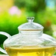 天目湖白茶功效作用