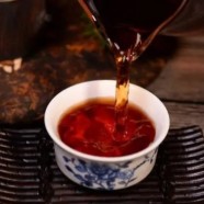 资溪白茶怎么样