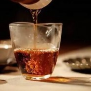 叙府龙芽是什么茶