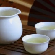 叙府龙芽多少钱一斤