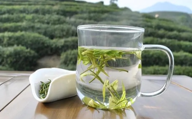 天目青顶怎么泡.jpg 天目青顶怎么泡.jpg