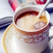 采花毛尖是什么档次茶