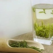 叙府龙芽传统制作技艺