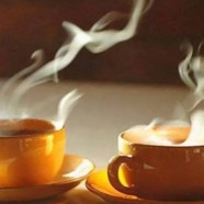 资溪白茶是白茶还是绿茶