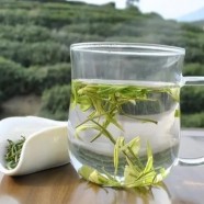天目青顶怎么泡