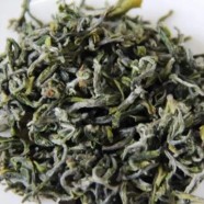 商南泉茗