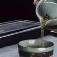 南糯白毫是什么茶