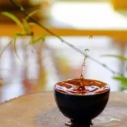 文君嫩绿是什么茶