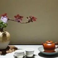 商南泉茗保质期多久