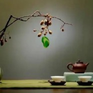 紫阳翠峰茶怎么样