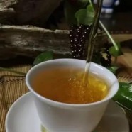象棋云雾属于什么茶