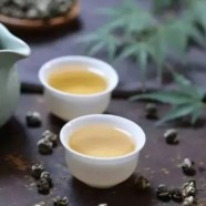 文君嫩绿的功效与禁忌是什么