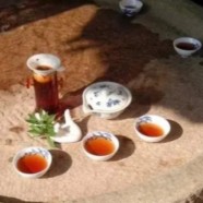 采花毛尖产地